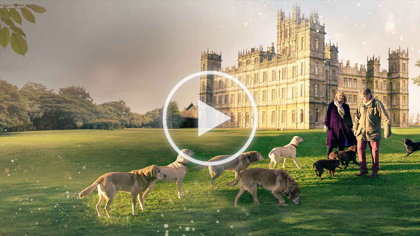 Image is not available